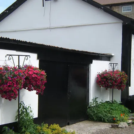 Guest house Faythe 3*