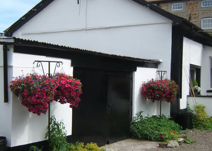 게스트하우스 Faythe 3*